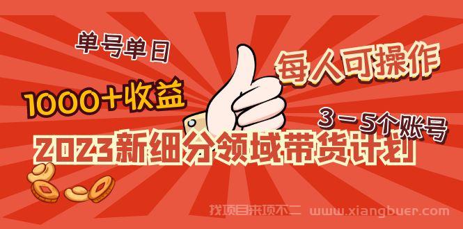 【第170期】2023新细分领域带货计划：单号单日1000+收益不难，每人可操作3-5个账号