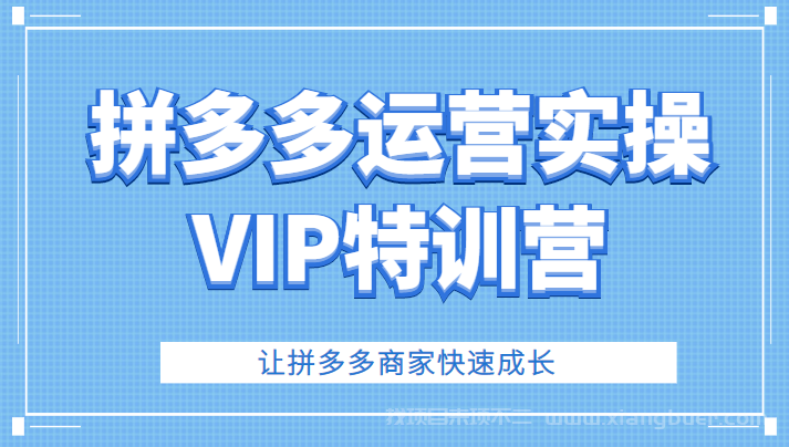 【第217期】拼多多运营实操VIP特训营，让拼多多商家快速成长（价值3180元）