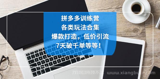 【第220期】拼多多训练营：各玩法合集，爆款打造，低价引流，7天破千单等等 