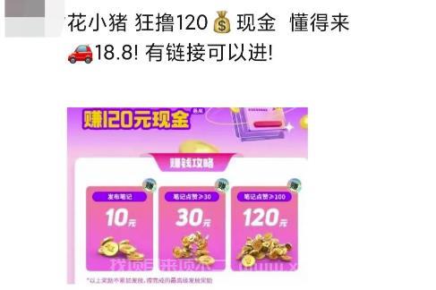 花小猪白撸120元，多号多撸，入口有人收费18.8