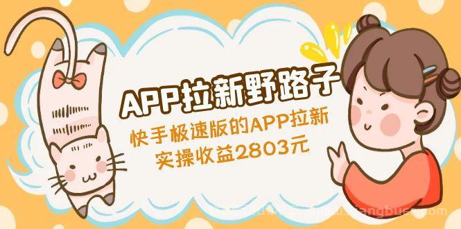 【第291期】APP拉新野路子：快手极速版的APP拉新赚，实操收益2803元