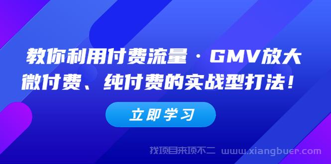 【第484期】教你利用付费流量·GMV放大，微付费、纯付费的实战型打法