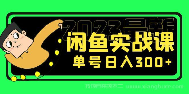 【第499期】花599买的闲鱼项目：2023最新闲鱼实战课，单号日入300+（7节课）