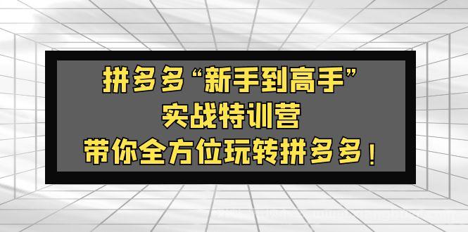 【第551期】拼多多“新手到高手”实战特训营：带你全方位玩转拼多多！