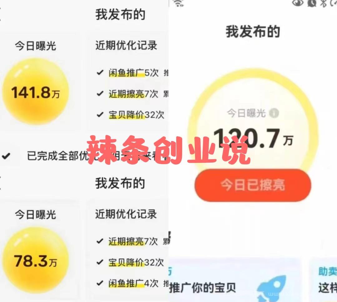 【第555期】价值1980最新闲鱼大流量联盟玩法，单日引流200+，稳定日入1000+