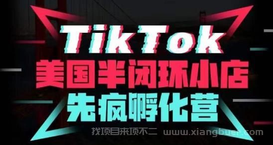 【第576期】疯人院·TikTok美国半闭环小店孵化营，抢占TikTok美国蓝海市场，开店、运营、带货、投流全实操