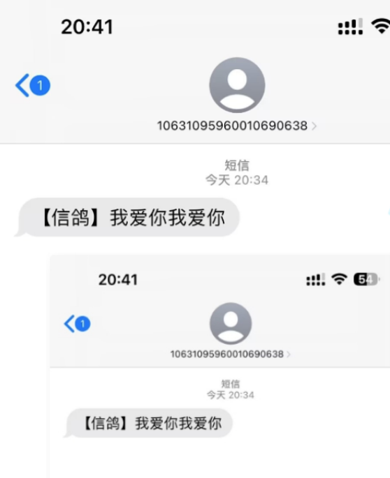 【第668期】冷门月入过万的匿名短信项目搭建教程【网站源码+网站搭建视频教程】