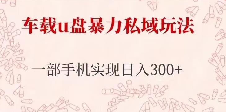 【第847期】车载u盘暴力私域玩法，长期项目，仅需一部手机实现日入300+