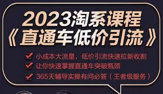 【第891期】2023直通车低价引流玩法课程，小成本大流量，低价引流快速拉新收割，让你快速掌握直通车突破瓶颈