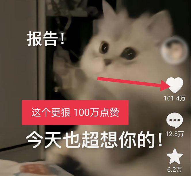 【第908期】黑科技纯原创可爱猫咪图片，全网精准引流，实操5个VX号被加频繁 