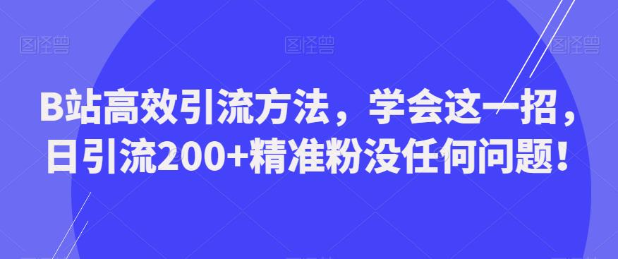 【第1224期】B站高效引流方法，学会这一招，日引流200+精准粉没任何问题【揭秘】