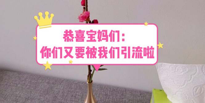 【第1340期】恭喜宝妈们：你们又要被我们引流了（教程+222g资料）