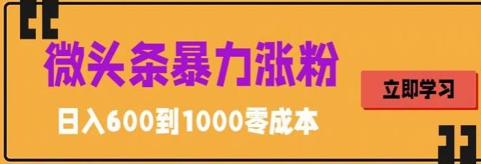 【第1394期】微头条暴力涨粉技巧搬运文案就能涨几万粉丝，简单0成本，日赚600【揭秘】