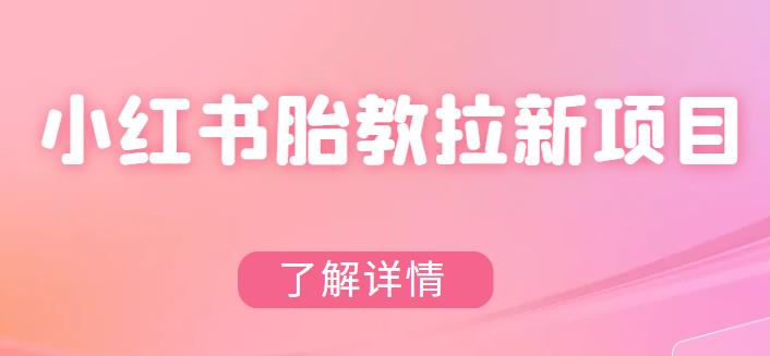 【第1691期】小红书胎教网盘拉新项目，可在私域变现两次（作品制作教程+素材）