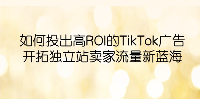 【第1702期】如何投出高ROI·TikTok广告，开拓独立站卖家流量新蓝海