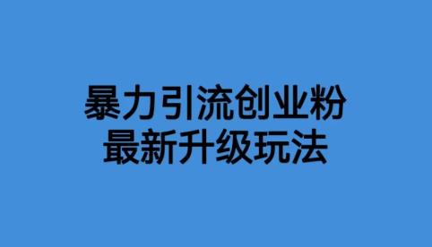 【第1895期】价值1980一千个野路子暴力引流最新升级玩法【揭秘】