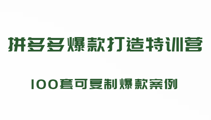 【第1901期】拼多多爆款打造特训营，199元*100套可复制爆款案例（持续更新中)