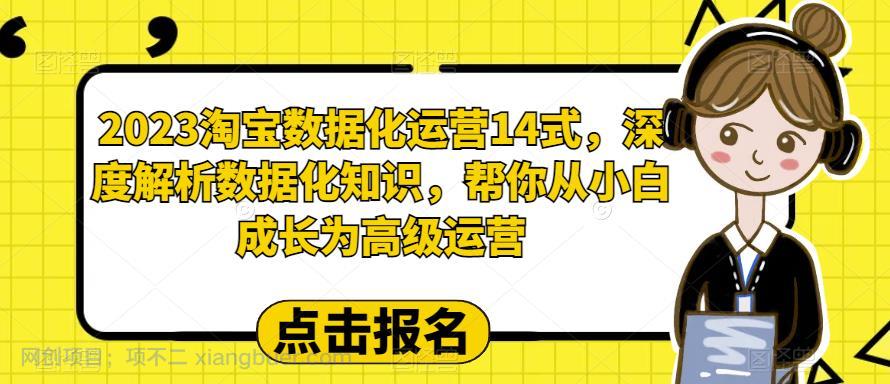 【第2135期】2023淘宝数据化-运营 14式，深度解析数据化知识，帮你从小白成长为高级运营