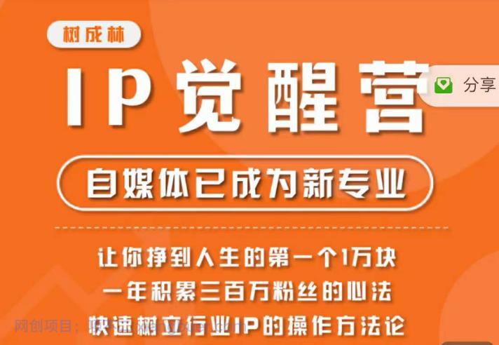 【第2199期】树成林·IP觉醒营，快速树立行业IP的操作方法论，让你赚到人生的第一个1万块