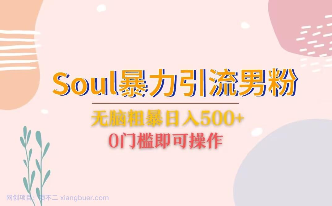 【第2203期】Soul暴力引流男粉玩法，无脑粗暴日入500＋，0门槛即可操作