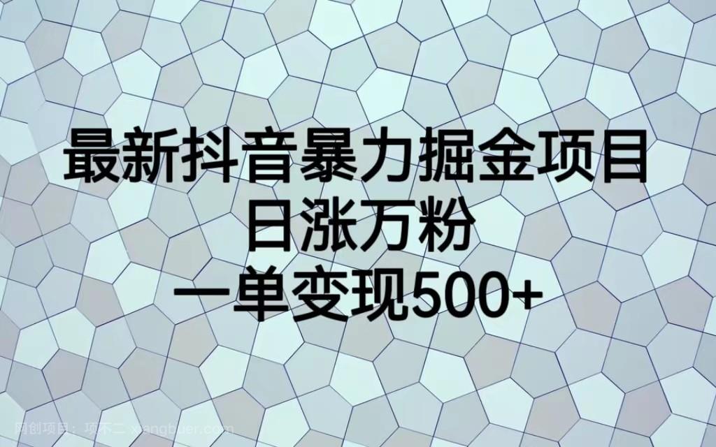 【第2519期】最新抖音暴力掘金项目，日涨万粉，一单变现500+