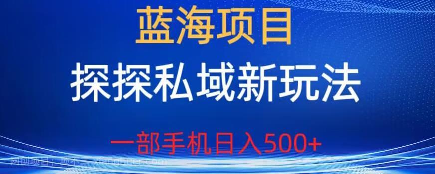 【第2438期】蓝海项目，探探私域新玩法，一部手机日入500+很轻松【揭秘】