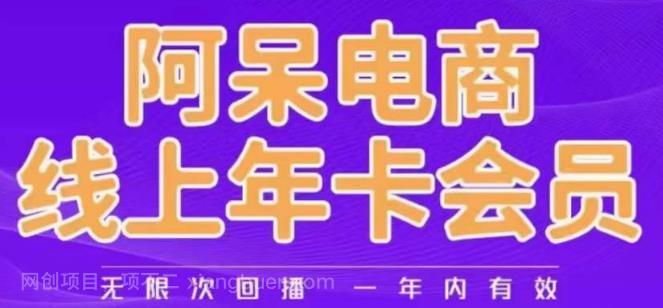 【第2619期】阿呆电商线上年会员，阿呆电商干货分享（更新中）