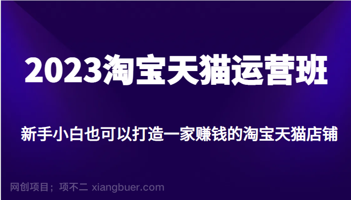  【第2773期】2023淘宝天猫运营班，新手小白也可以打造一家赚钱的淘宝天猫店铺