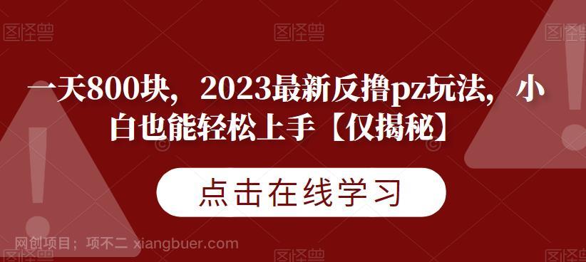 【第2899期】一天800块，2023最新反撸pz玩法，小白也能轻松上手【仅揭秘】