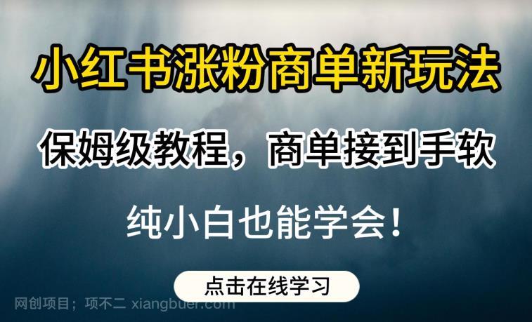 【第2941期】小红书涨粉商单新玩法，保姆级教程，商单接到手软，纯小白也能学会【揭秘】