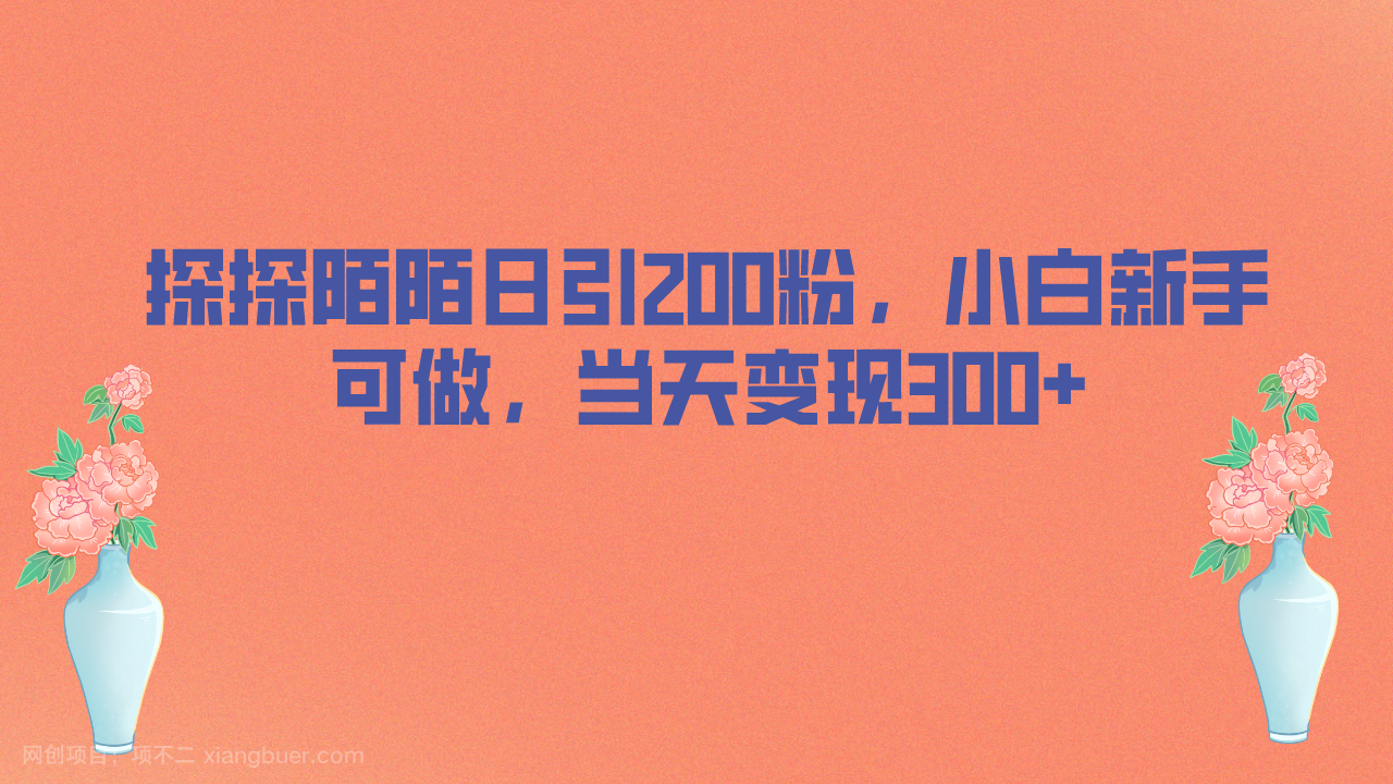 【第2951期】探探陌陌日引200粉，小白新手可做，当天就能变现300+