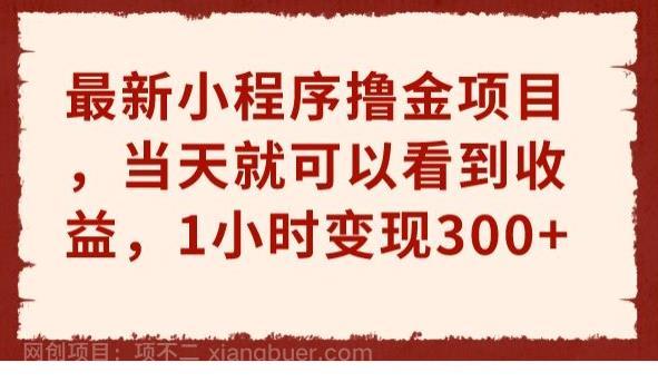 【第3129期】最新小程序撸金项目，当天就可以看到收益，1小时变现300+【揭秘】