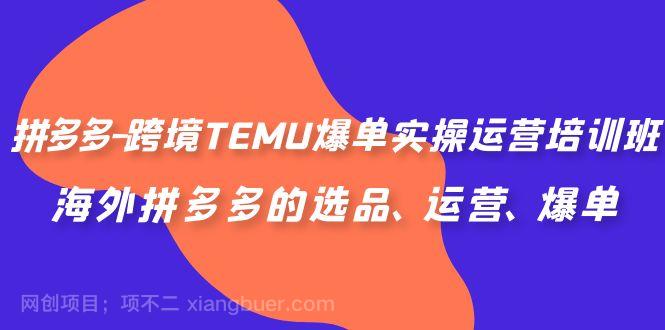 【第3217期】拼多多-跨境TEMU爆单实操运营培训班，海外拼多多的选品、运营、爆单