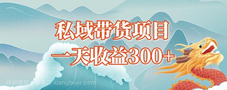 【第3258期】独孤私域带货蓝海项目，一天收益300+