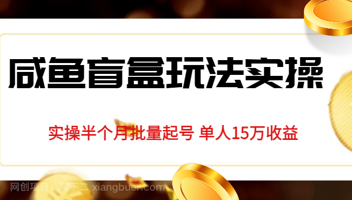 【第3379期】独家首发咸鱼盲盒玩法实操，半个月批量起号单人15万收益揭秘