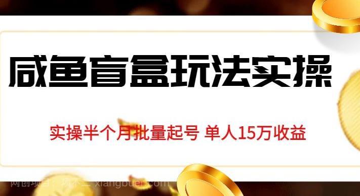 【第3602期】独家首发咸鱼盲盒玩法实操，半个月批量起号单人15万收益【揭秘】