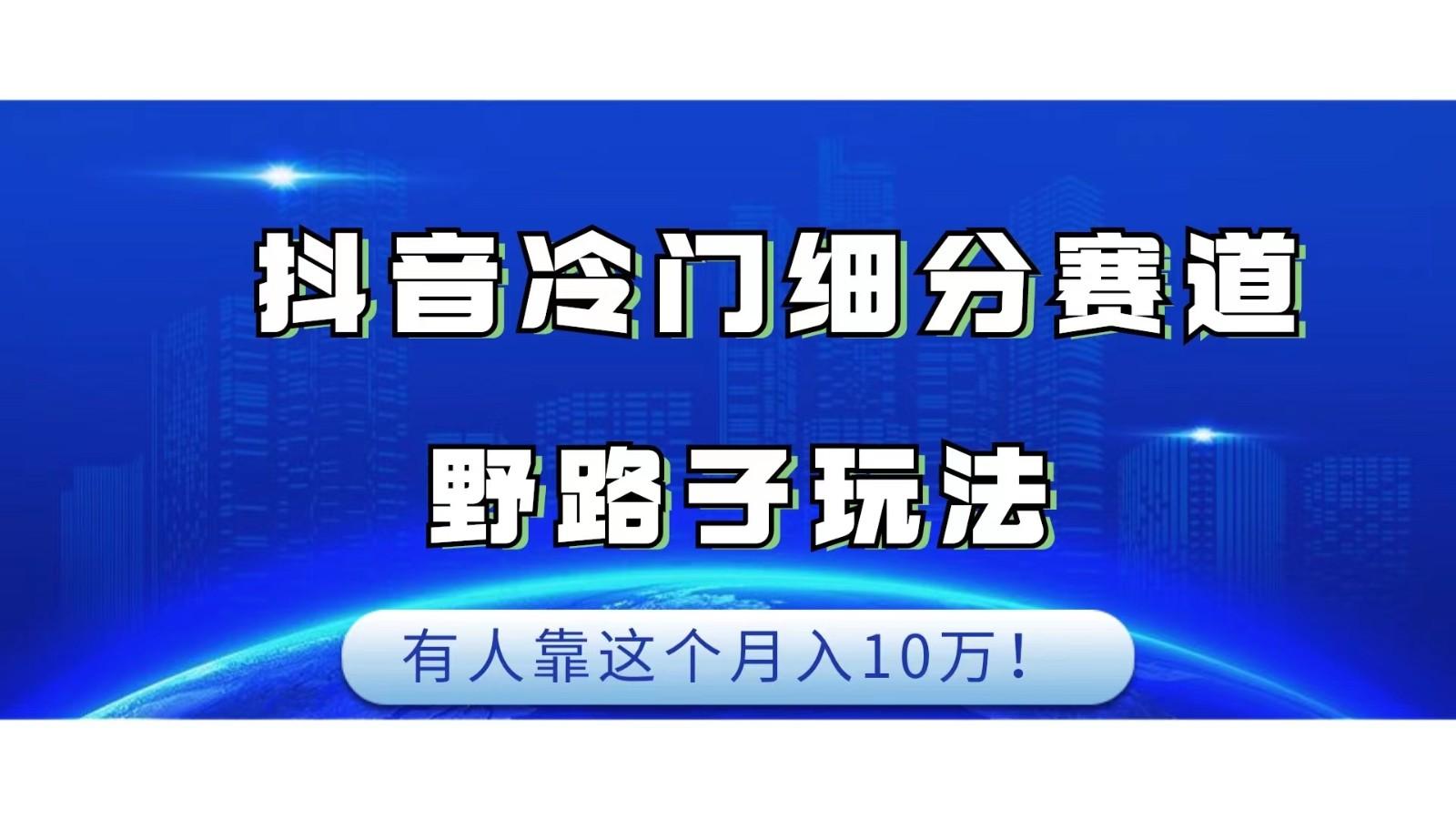 【第4041期】抖音冷门细分赛道野路子玩法，有人靠这个月入10万