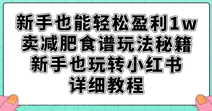 【第4260期】新手也能轻松盈利1w，卖减肥食谱玩法秘籍，新手也玩转小红书详细教程【揭秘】