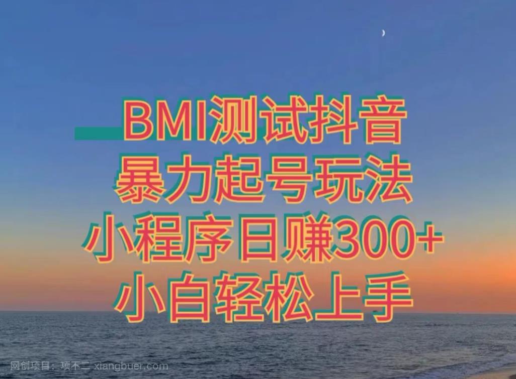 【第4315期】神图抖音小程序项目4.0版引流，日入300+暴力玩法小白轻松上手