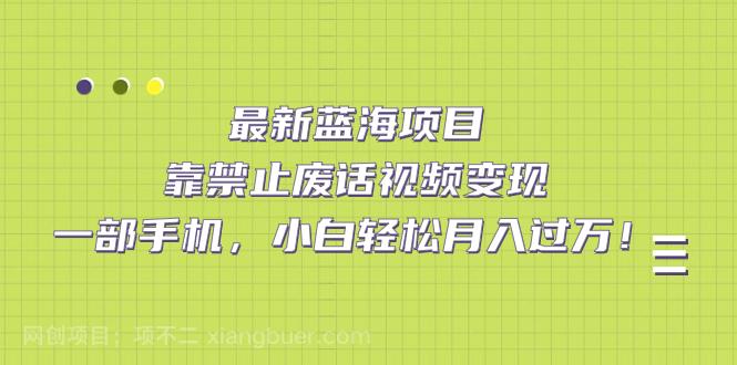 【第4347期】最新蓝海项目，靠禁止废话视频变现，一部手机，小白轻松月入过万！