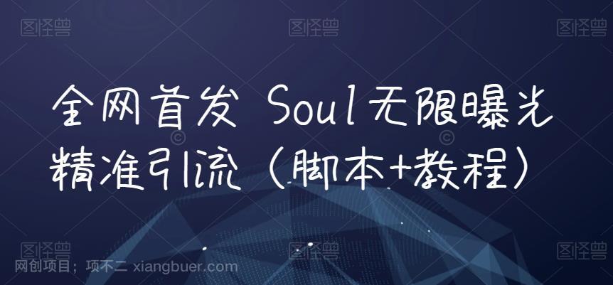 【第4498期】全网首发 Soul无限曝光精准引流