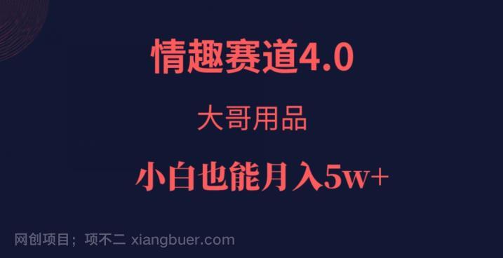 【第4502期】情趣赛道4.0，大哥用品，小白也能月入5w！