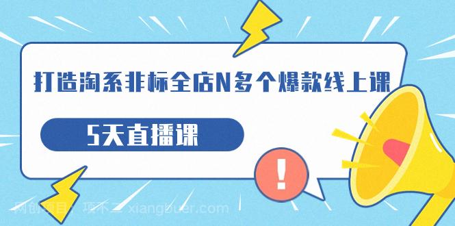 【第4705期】打造-淘系-非标全店N多个爆款线上课，5天直播课（19期）