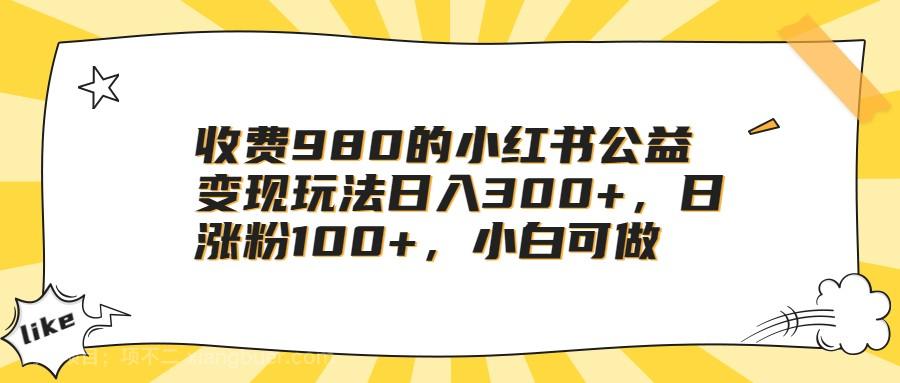 【第3221期】收费980的小红书公益变现玩法日入300+，日涨粉100+，小白可做