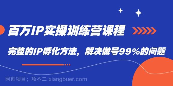 【第4742期】百万IP实战训练营课程，完整的IP孵化方法，解决做号99%的问题