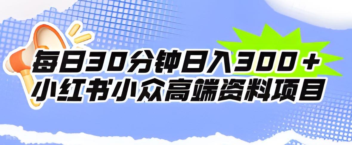 【第5859期】每日30分钟日入300＋小红书小众高端资料项目