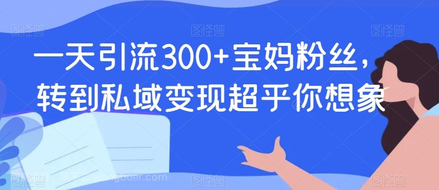 【第6024期】一天引流300+宝妈粉丝，转到私域变现超乎你想象