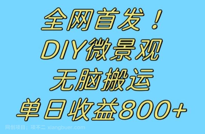 【第6190期】全网首发冷门赛道！DIY微景观，无脑搬运视频，日收益800+【揭秘】