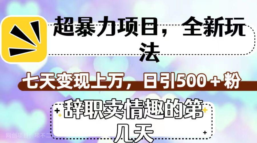 【第6862期】超暴利项目，全新玩法（辞职卖情趣的第几天），七天变现上万，日引500+粉 