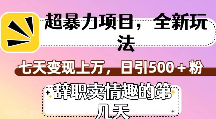 【第6924期】超暴利项目，全新玩法（辞职卖情趣的第几天），七天变现上万，日引500+粉【揭秘】